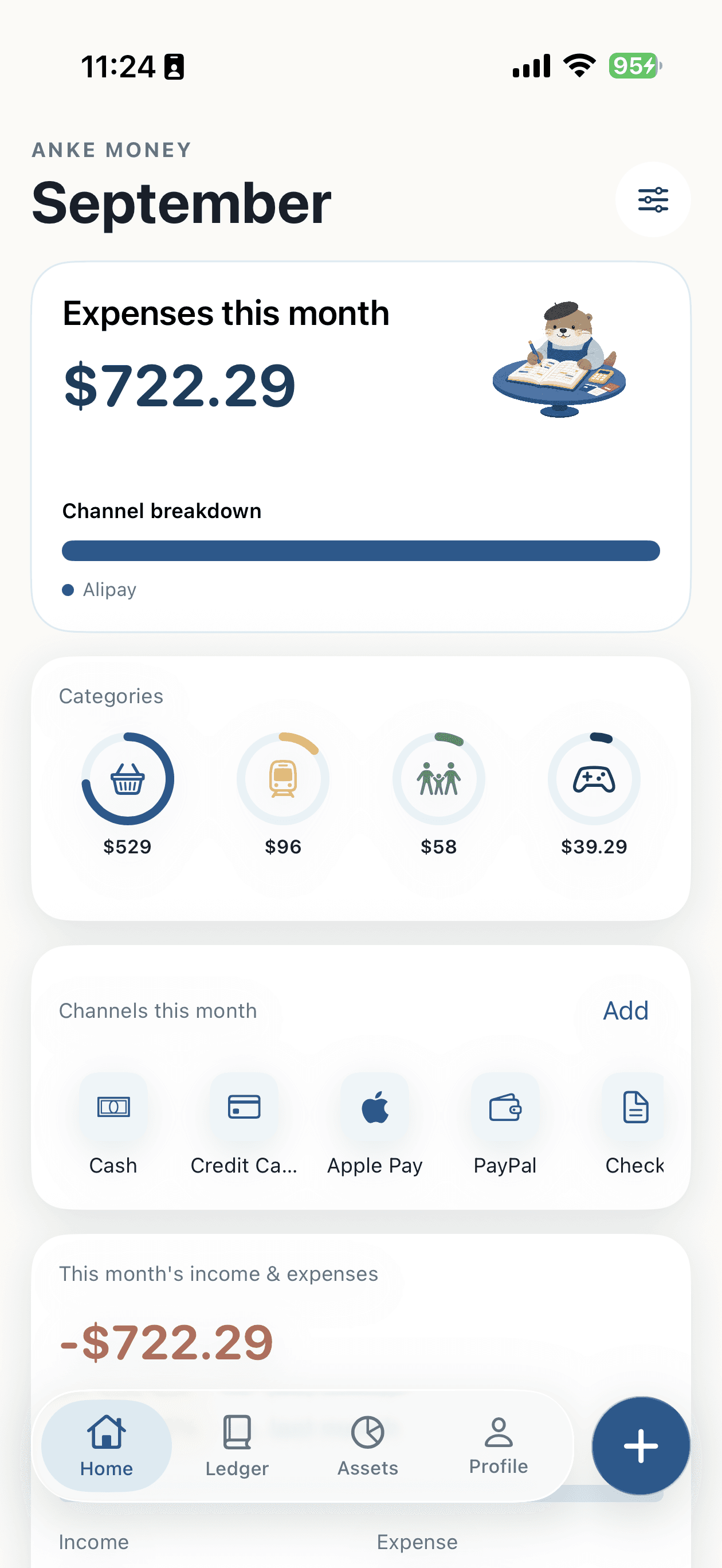 Anke Money home showing this month's expenses, channel composition and income summary