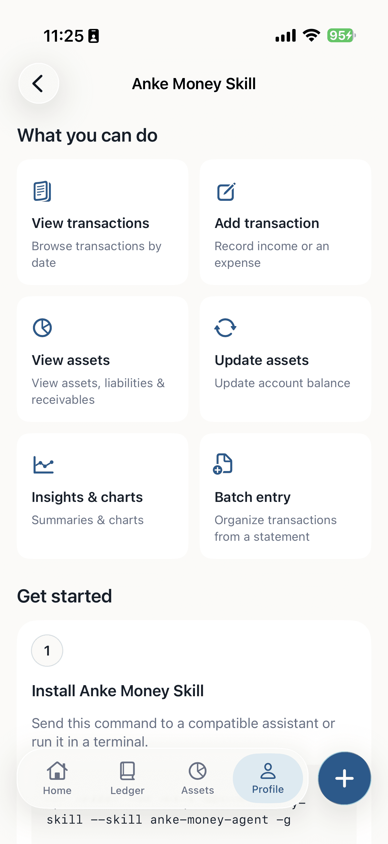 Anke Money Skill screen showing available actions and setup instructions